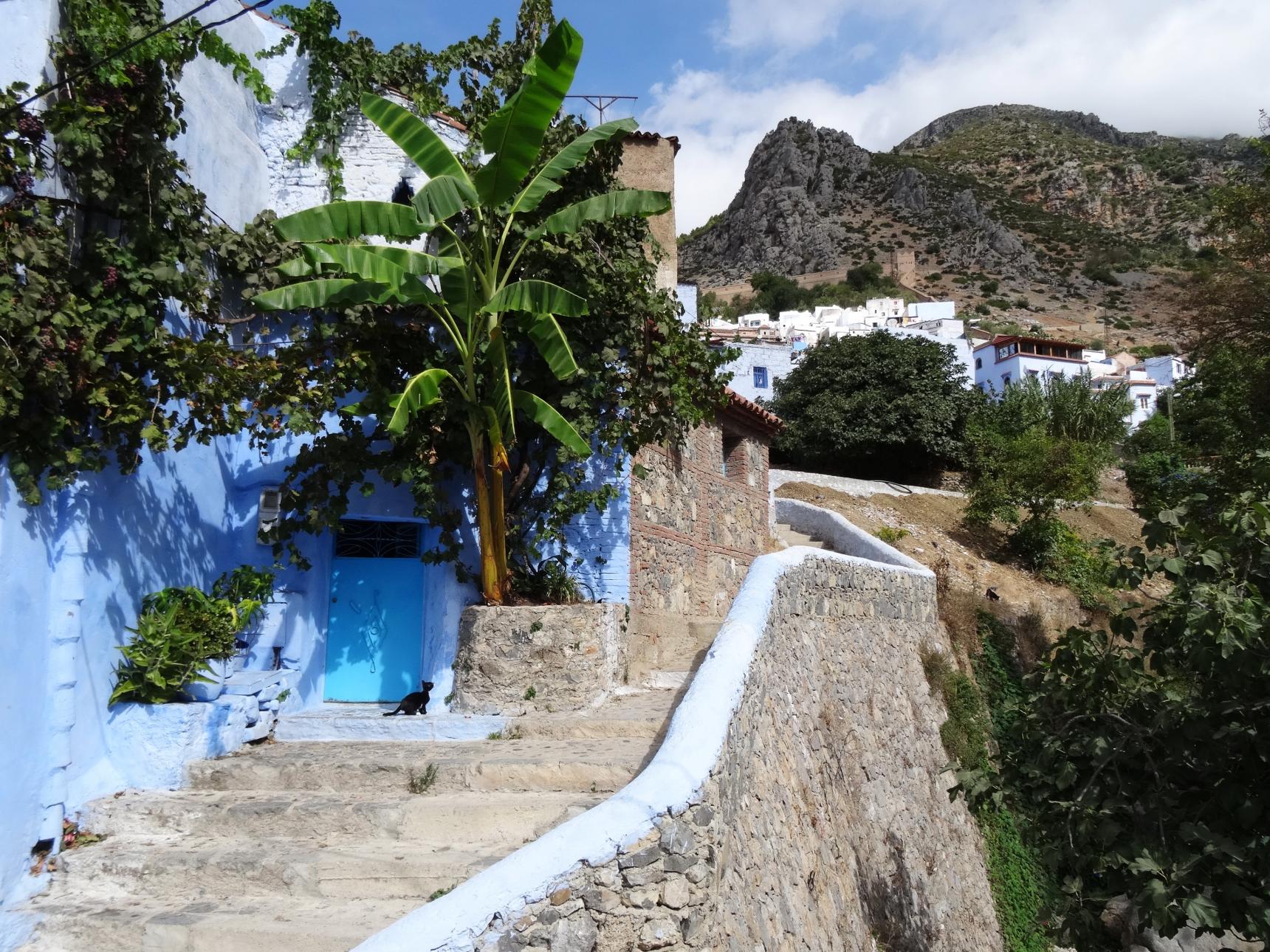 Exploring The Medina of Chefchaouen