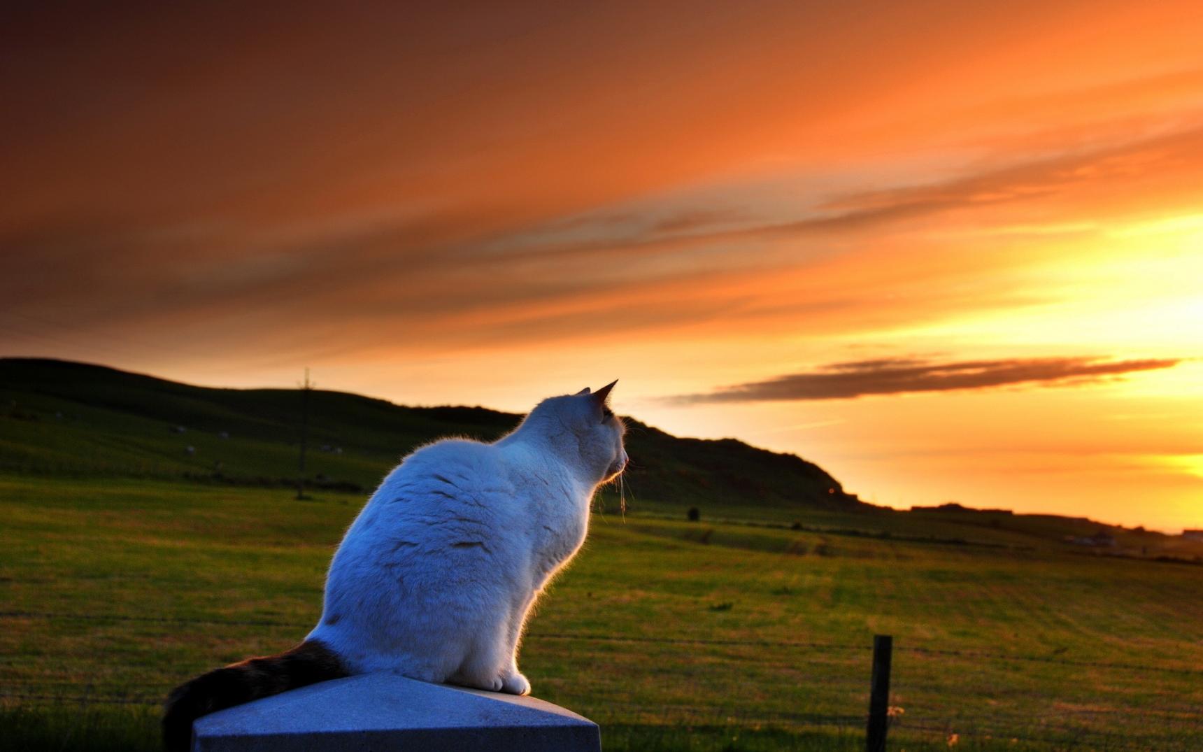 Having a Well Deserved Rest
