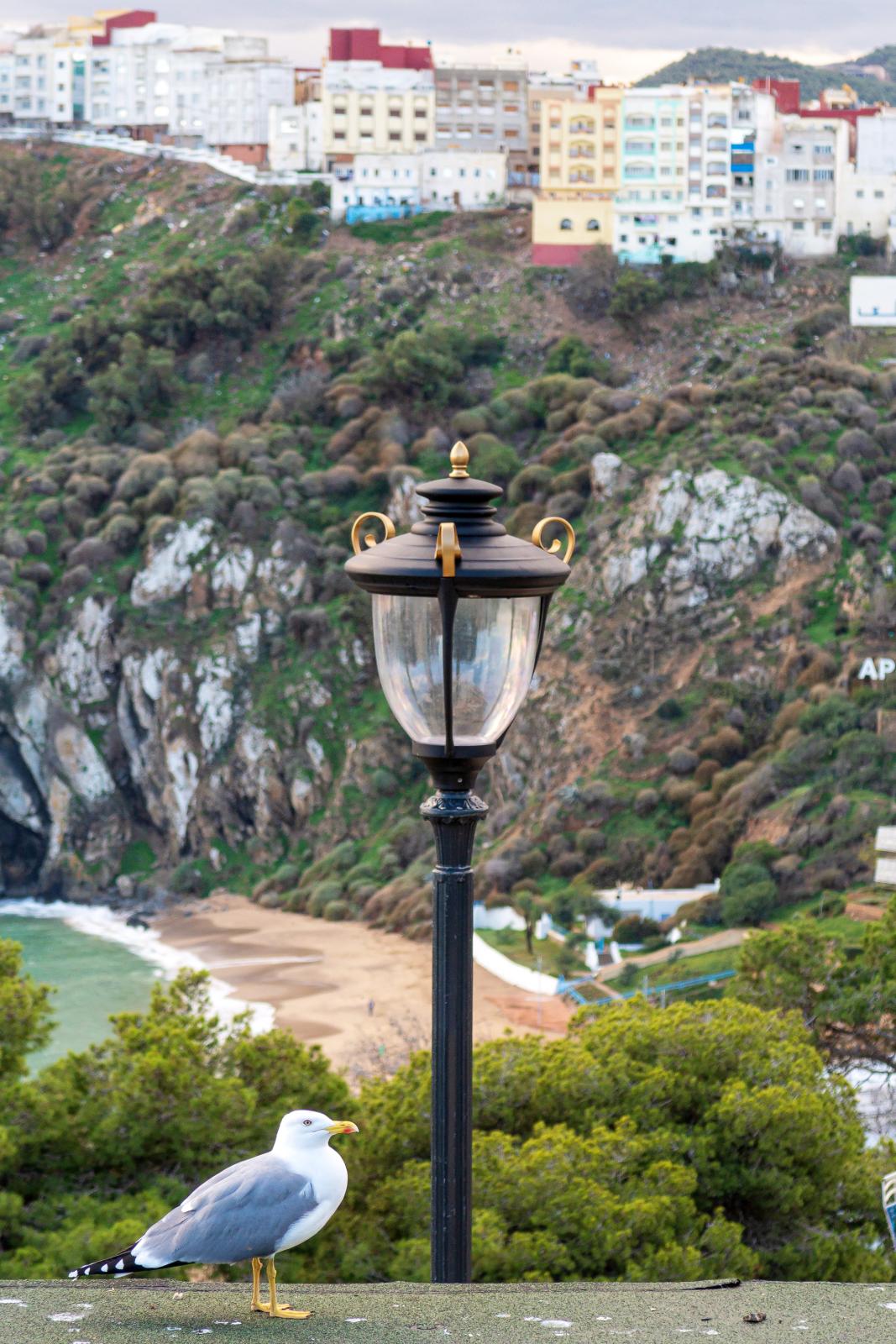 Quemado Beach Alhoceima Morocco