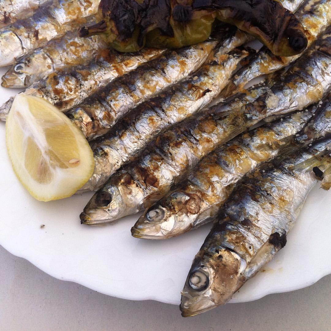 Sardine of Al Hoceima