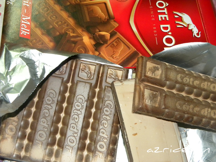 Côte d'Or Belgian Chocolate - Brussels, Belgium 2010 Côte d'Or Belgian Chocolate - Brussels, Belgium 2010