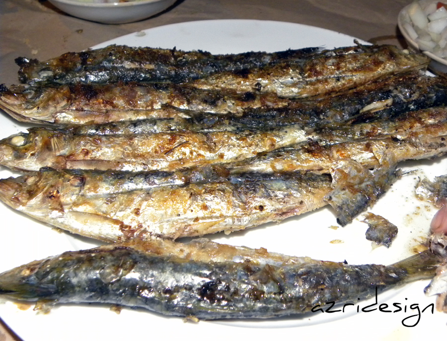 The famous Sardines of Tara n Youssef - Alhoceima, Morocco 2011