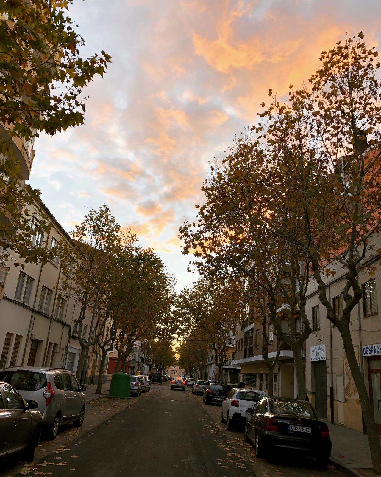 Golden Zamora