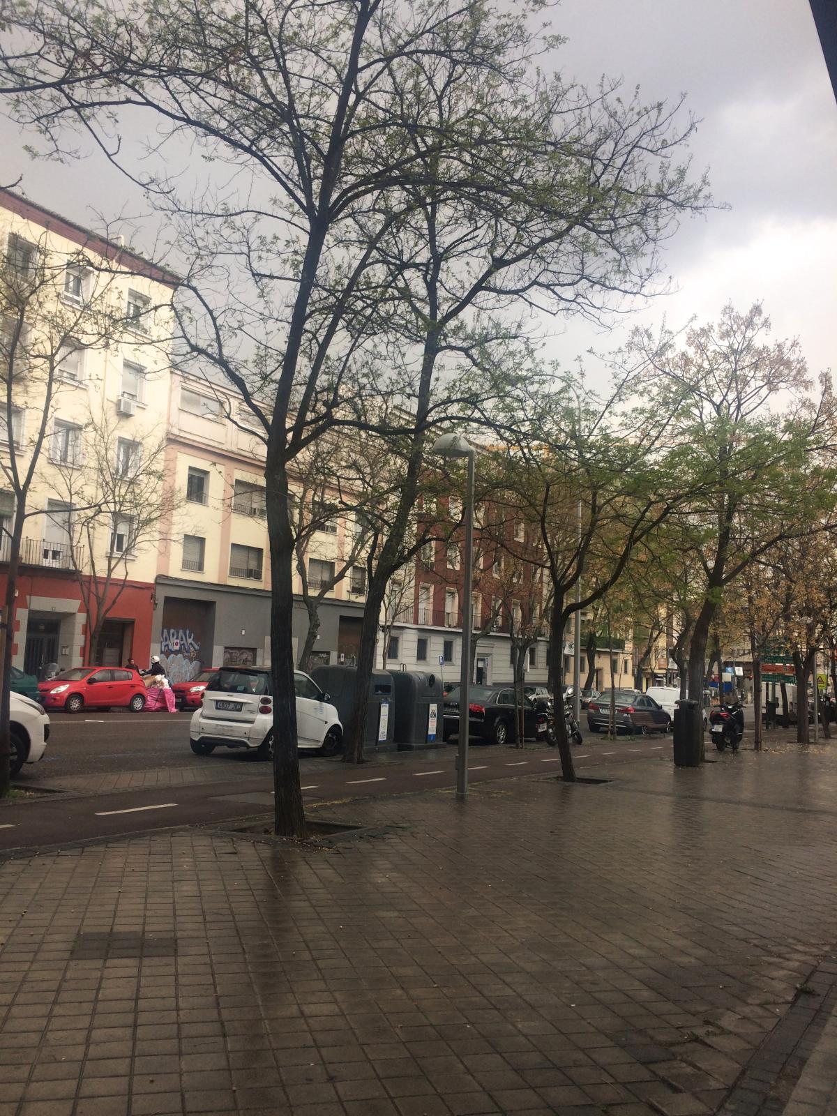 Calle Moreno Nieto