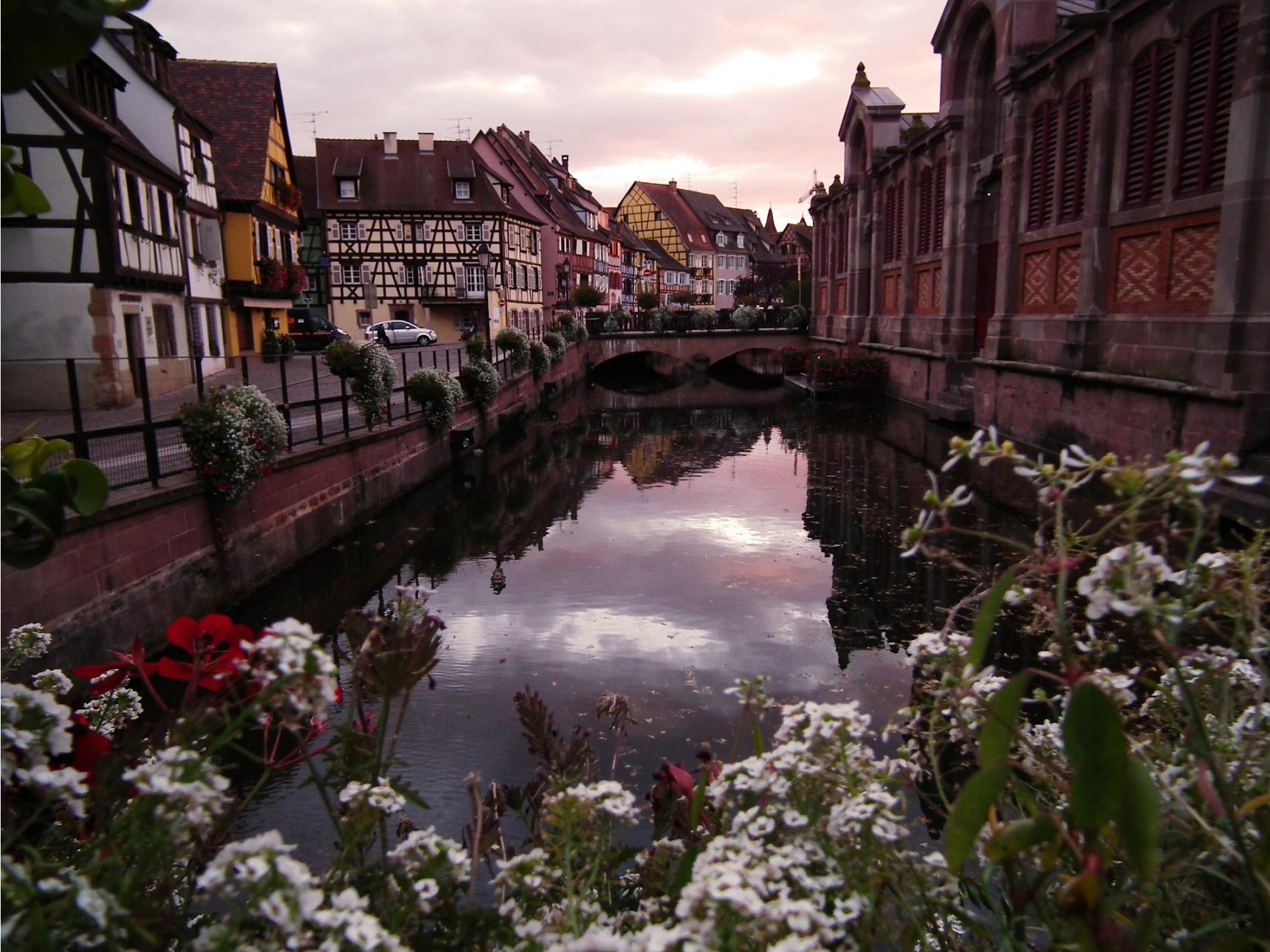 Charming Alsatian Town