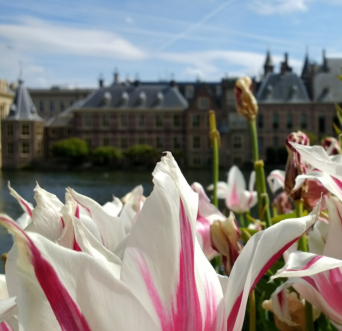 Binnenhof, The Hague, The Netherlands