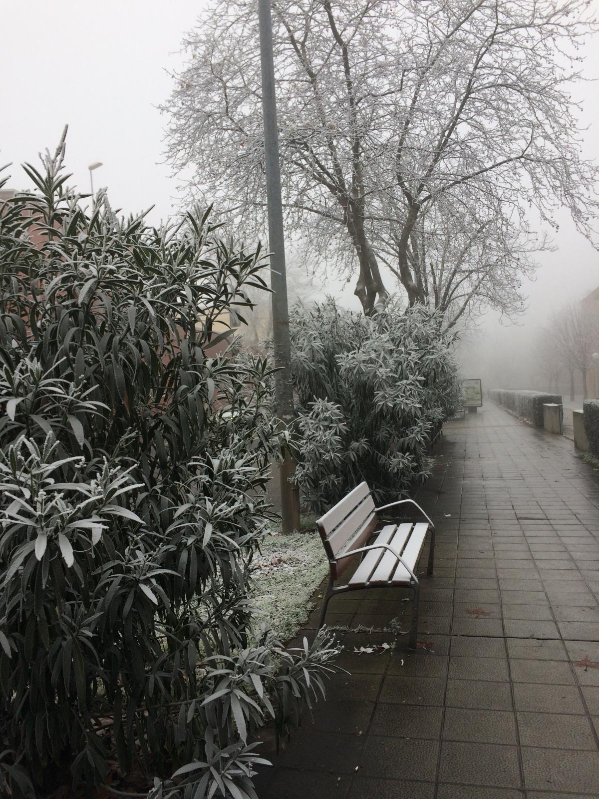 A Foggy Day in Zamora, Spain