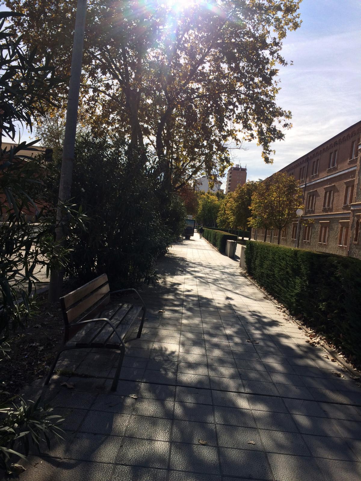 A Sunny Day in Zamora, Spain