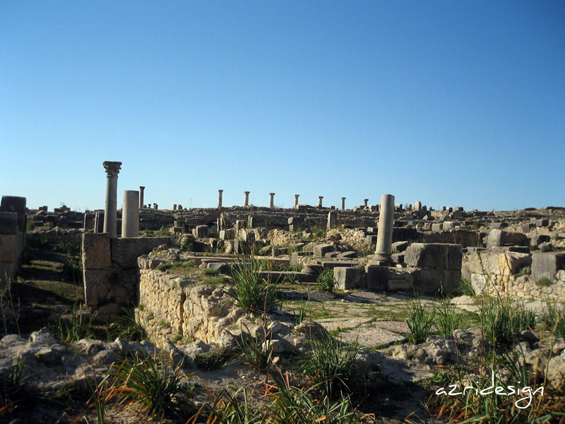La cité antique de Volubilis (Oualili), Meknes, Morocco, 2008 La cité antique de Volubilis (Oualili), Meknes, Morocco, 2008