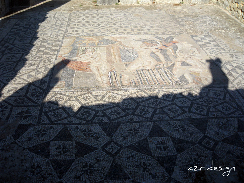 Mosaic-Diana leaves her bath, Volubilis, Meknes, Morocco, 2008
