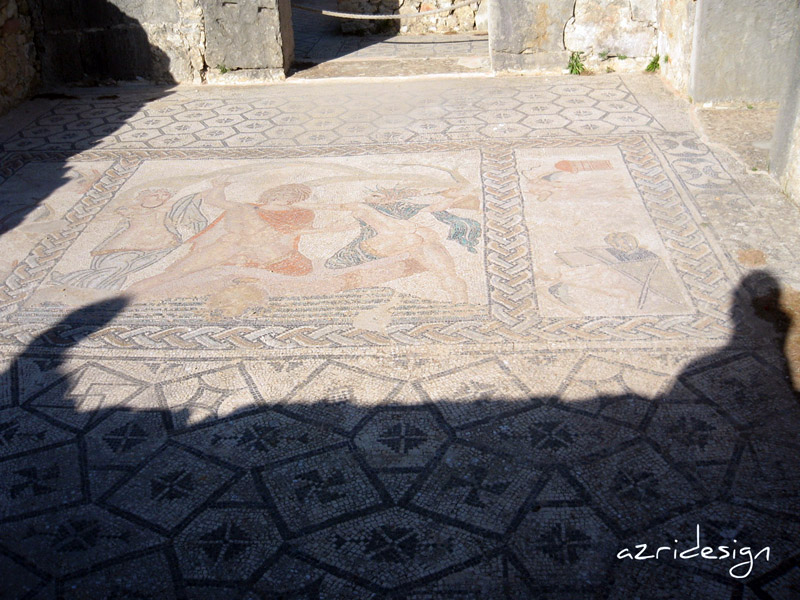 Mosaic, Volubilis Roman Ruins, Meknes, Morocco, 2008 Mosaic, Volubilis Roman Ruins, Meknes, Morocco, 2008
