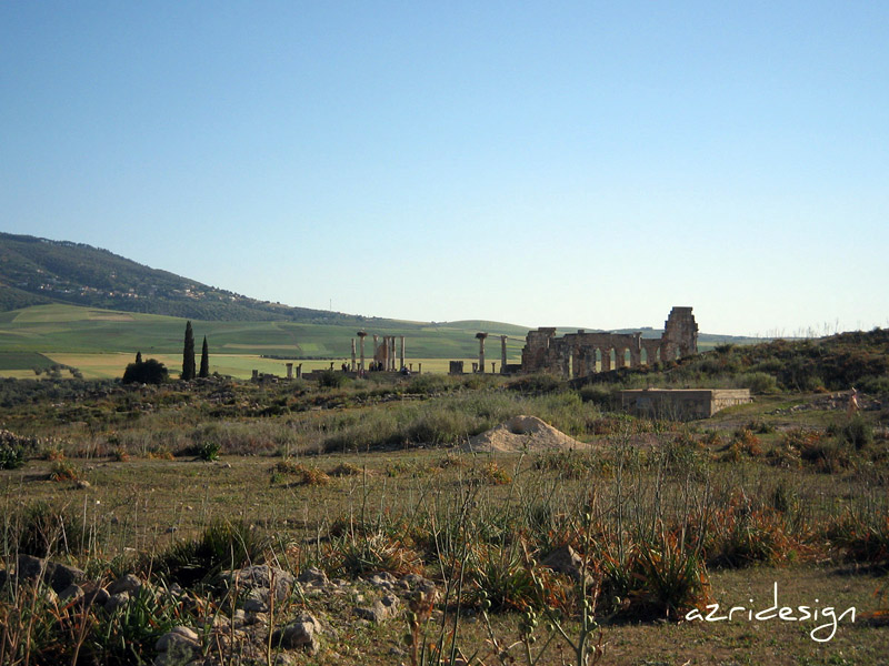 Volubilis, General view, Meknes, Morocco, 2008 Volubilis, General view, Meknes, Morocco, 2008