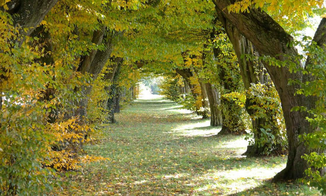 Le secret du bonheur Le secret du bonheur