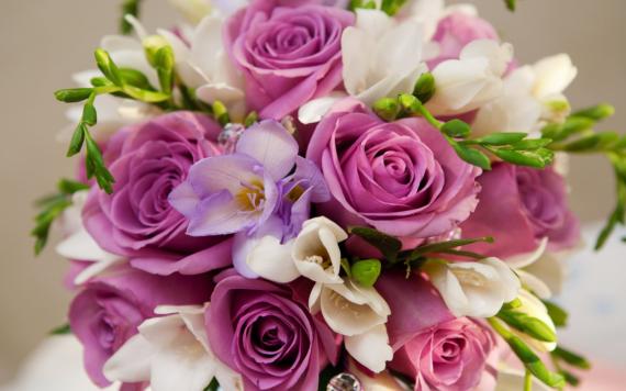 Purple Roses, just love them...