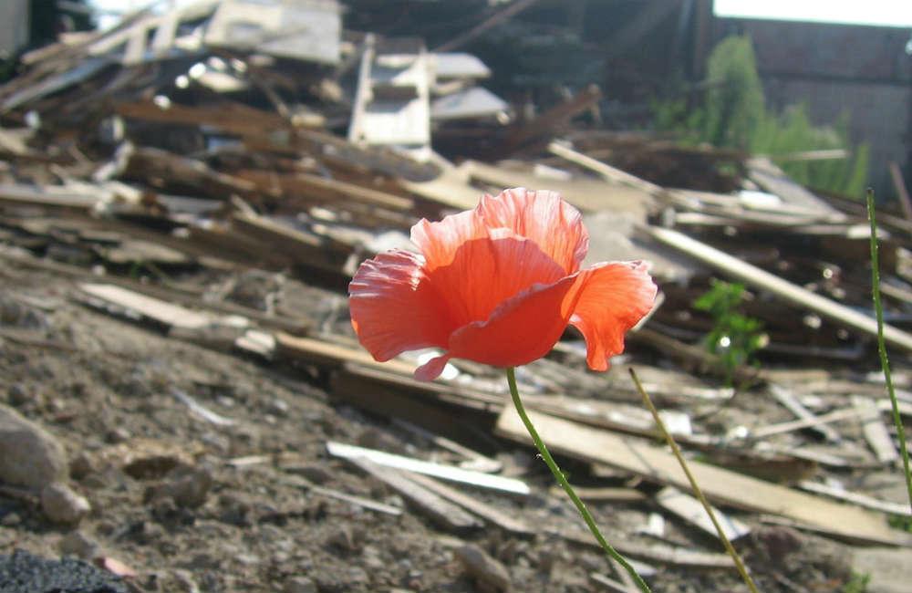 Citations Humanité