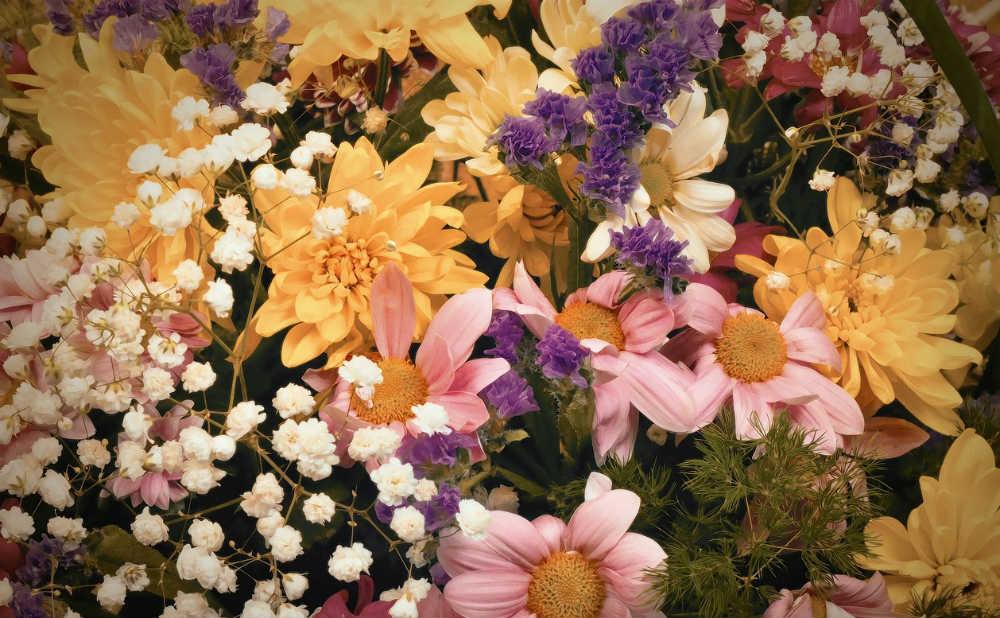 The Language of Flowers: Meaning of Flowers