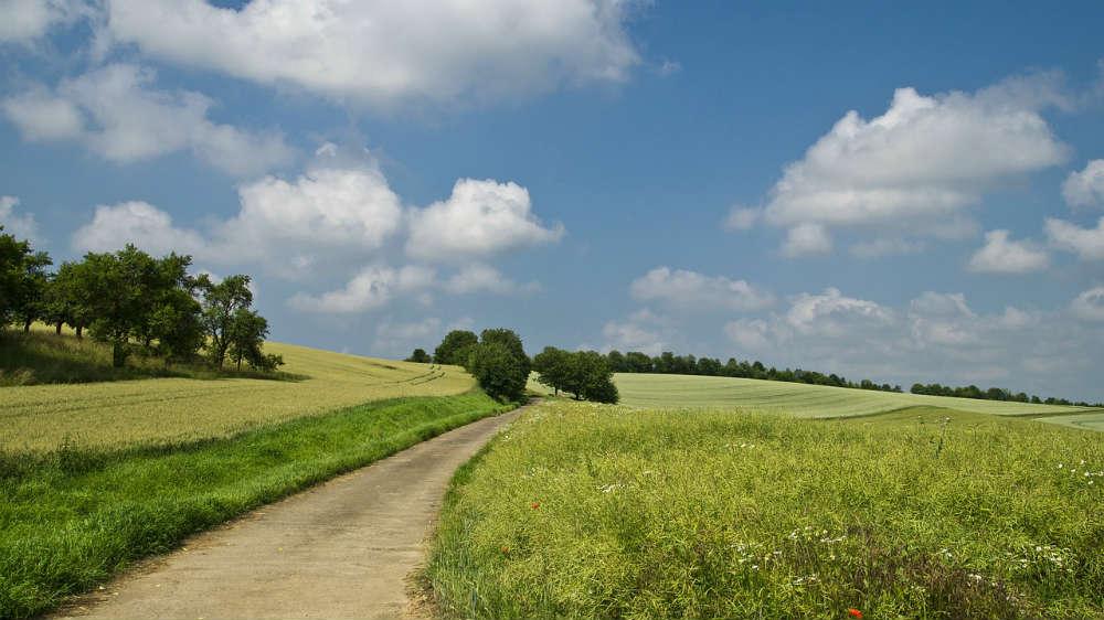 Le chemin qui nous mène