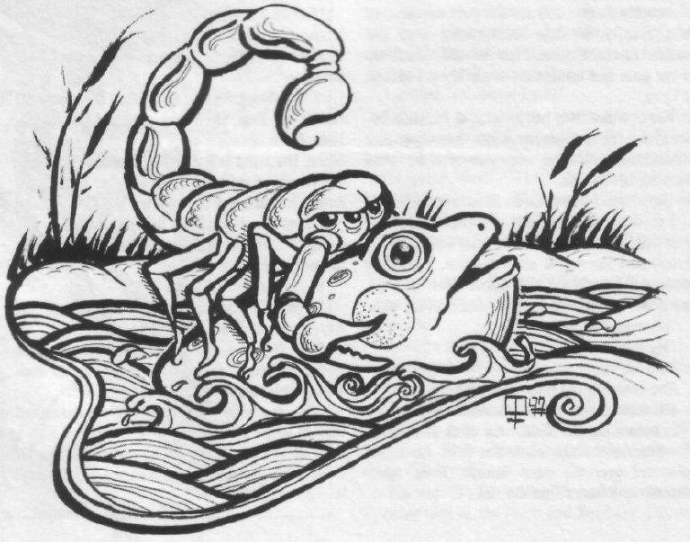 Le Scorpion et la Grenouille