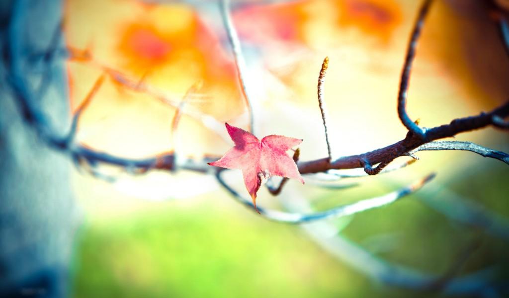 Your 7 days program to Positive thinking