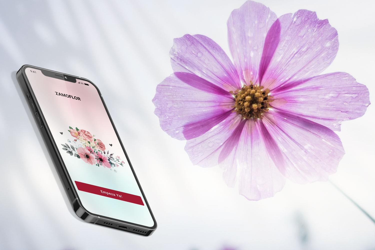 ZamoFlor App Florist Zamora Spain