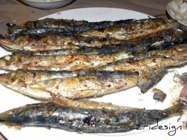 The famous Sardines of Tara n Youssef - Alhoceima, Morocco 2011