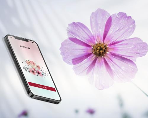 ZamoFlor App Florist Zamora Spain